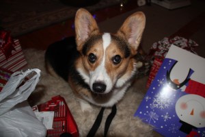 Getting ready to retreat to the kitchen