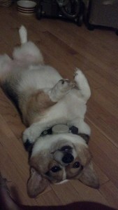 "I wasn't ready to wake up yet. I just didn't want to sleep without you!"