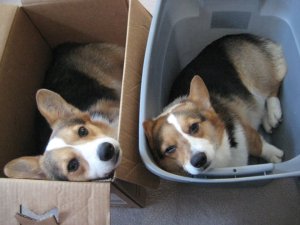 "We have a tough life!"