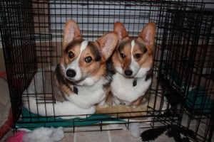 When we were little, we shared everything.