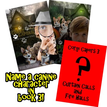 name-a-character-corgi-3