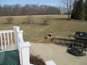 Leia's on the trail!