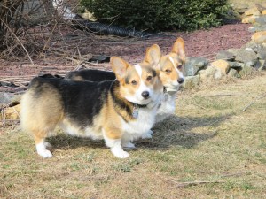 You want us to come in and stop herding whatever animal we smell??