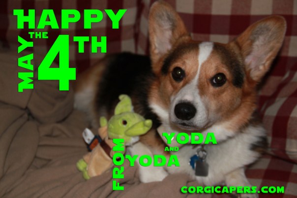 May the Fourth be with you!