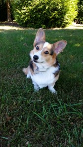 This is my brother being attentive and boring. 