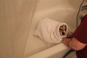 The indignities of bath-time.