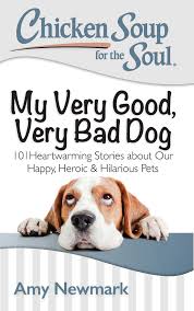 CHicken Soup Very Good Very Bad Dog