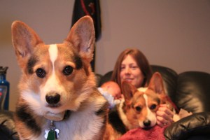 Yoda: "I won't come any closer to the Terror."