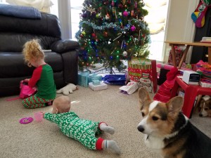 Corgi and children